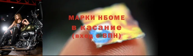 прущие грибы Арсеньев