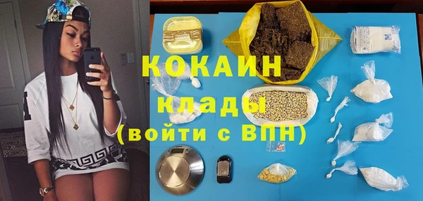 прущие грибы Арсеньев