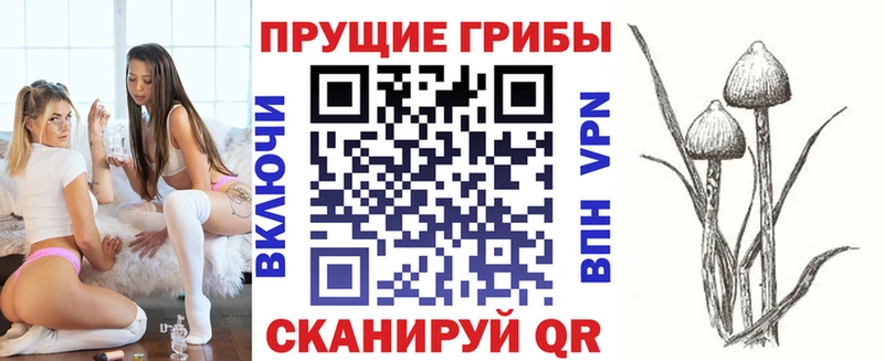 купить наркоту  blacksprut зеркало  Галлюциногенные грибы мухоморы  Пустошка 